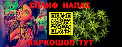 шишки Новокубанск