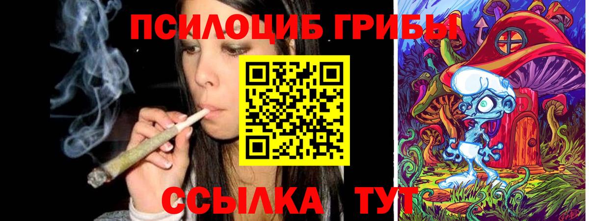Спасск-Дальний  Псилоцибиновые грибы MAGIC MUSHROOMS  Вход с VPN 