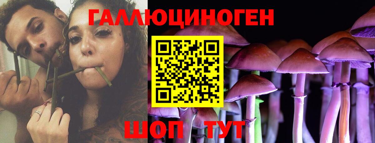 Псилоцибиновые грибы мухоморы Спасск-Дальний